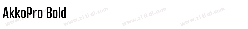 AkkoPro Bold字体转换